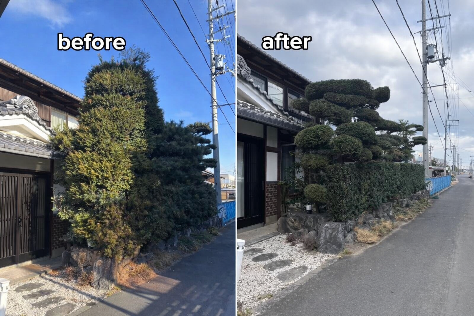 剪定から防草対策まで◎トータルサポートの写真