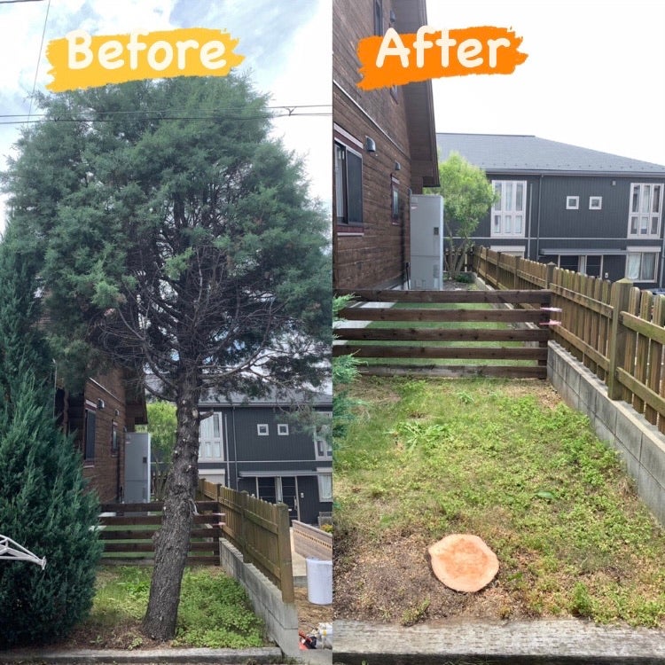 総合造園業　光翔園の紹介写真_2枚目