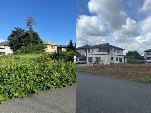 総合造園業　光翔園の画像